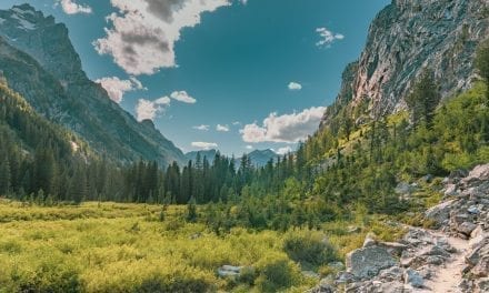 Trails near Jenny Lake Grand Teton – Hidden Falls, Inspiration Point and Cascade Canyon (VIDEO)