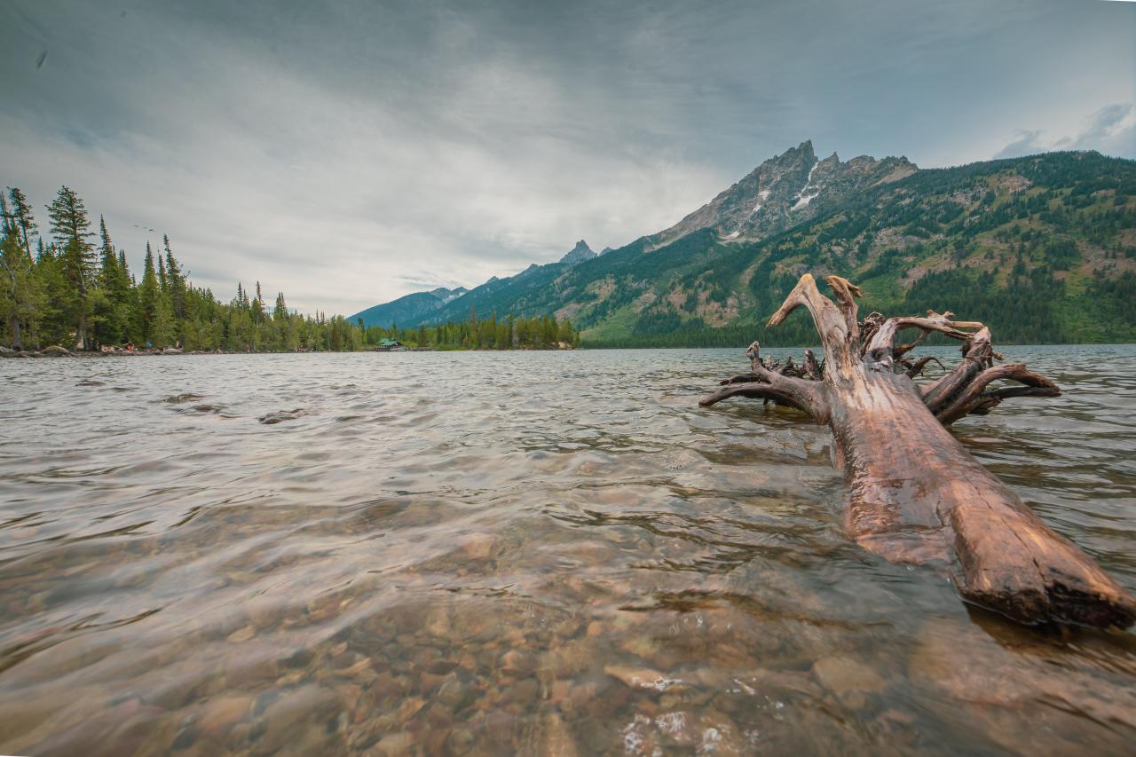 Jenny Lake