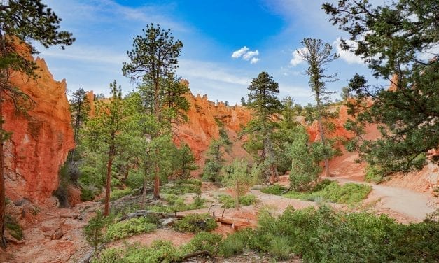 Hiking the Hoodoos in Bryce Canyon National Park, Utah