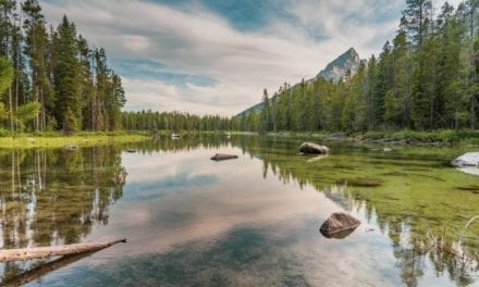 Hiking the Paintbrush Canyon and String Lake, Grand Teton National Park (VIDEO)