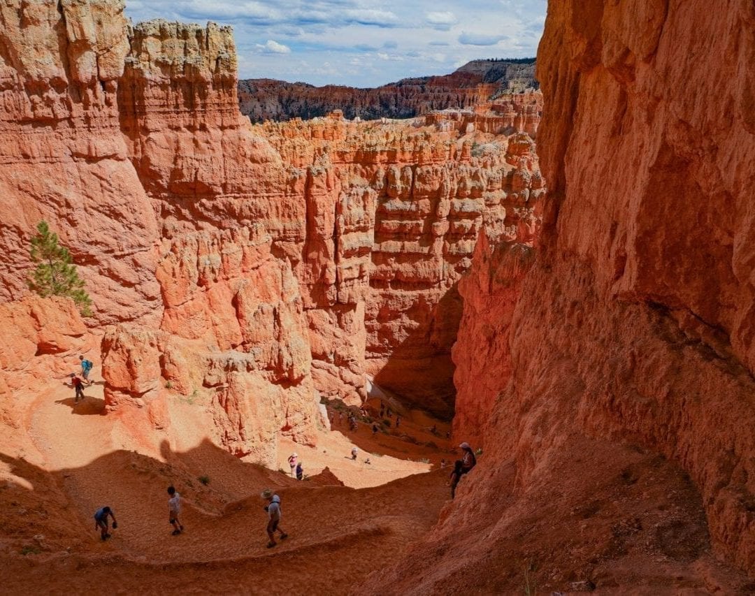 Wall Street Trail, a great hike in Bryce Canyon