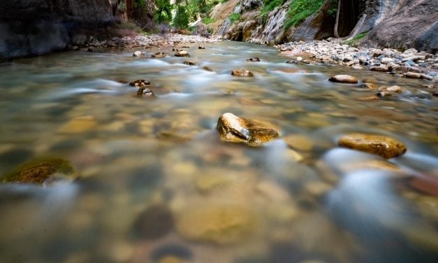 Hiking The Narrows in Zion National Park