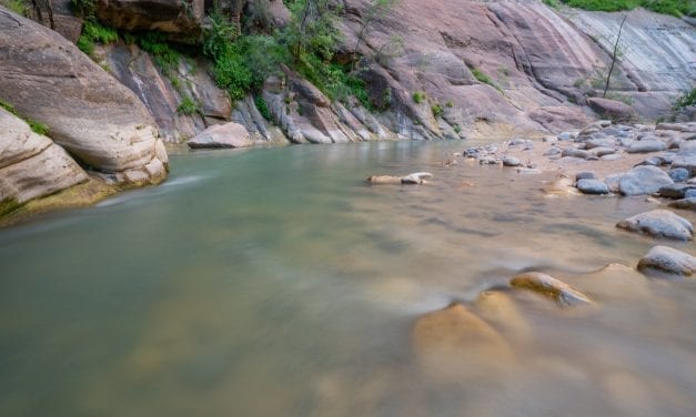 Hiking The Narrows in Zion National Park