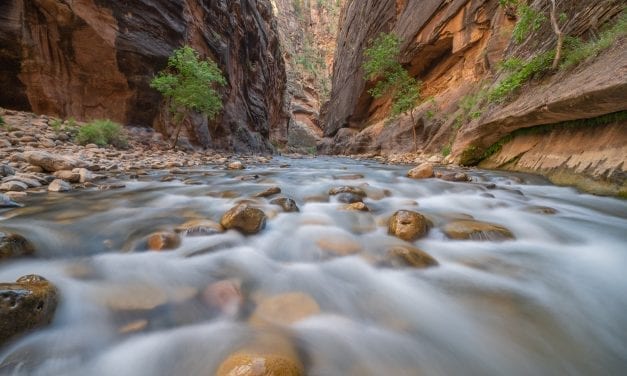 Hiking The Narrows in Zion National Park