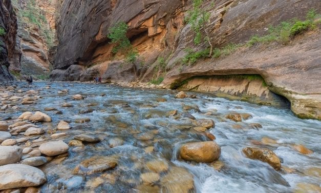 Hiking The Narrows in Zion National Park