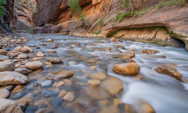 Hiking The Narrows in Zion National Park