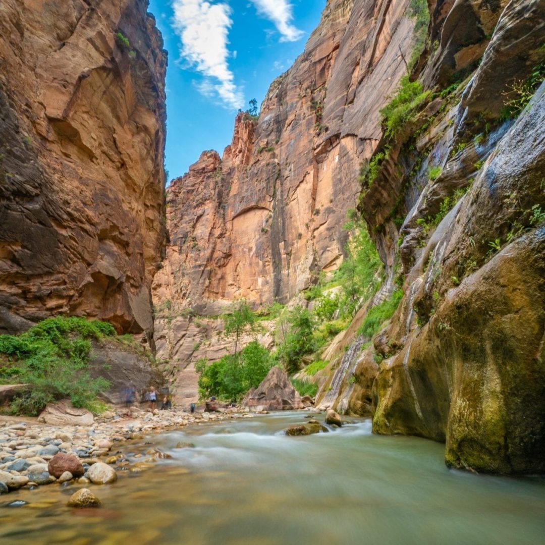 The Narrows, Zion National Park