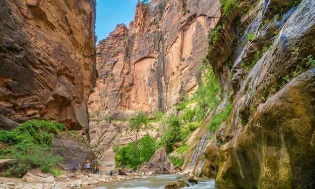 Hiking The Narrows in Zion National Park