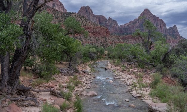 Walking the Pa’Rus Trail in Zion National Park, Utah