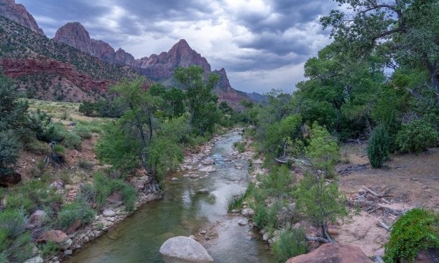 Walking the Pa’Rus Trail in Zion National Park, Utah