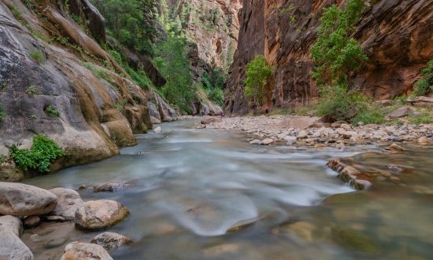 Hiking The Narrows in Zion National Park