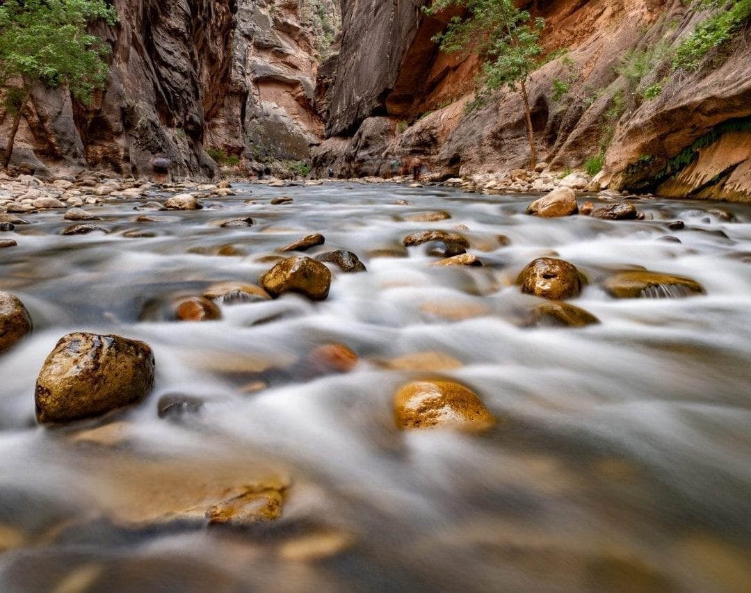 The Narrows, Zion National Park