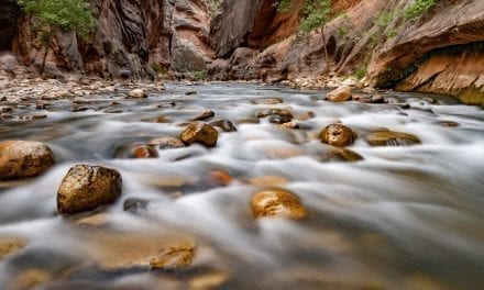 Hiking The Narrows in Zion National Park