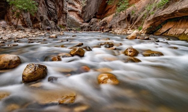 Hiking The Narrows in Zion National Park