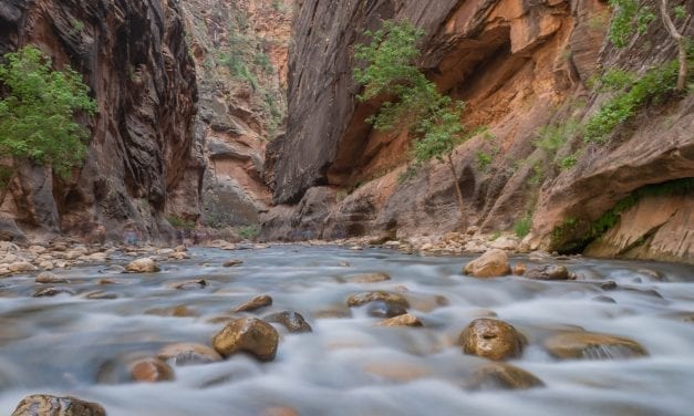 Hiking The Narrows in Zion National Park
