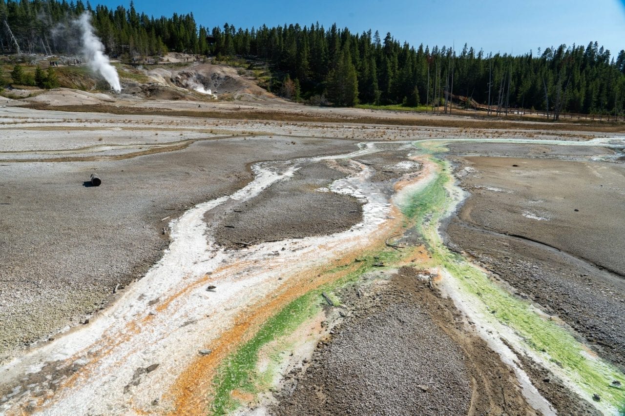 Water erupting from hot springs leaves colorful trails on the ground