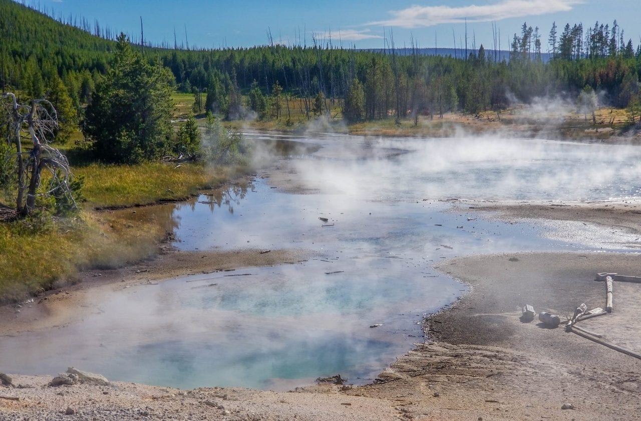 Back Basin area in Norris Geyser Basin