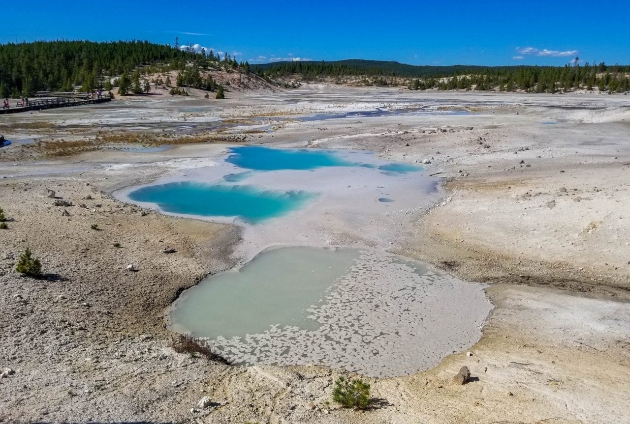 Colloidal Pool, Norris Geyser Basin