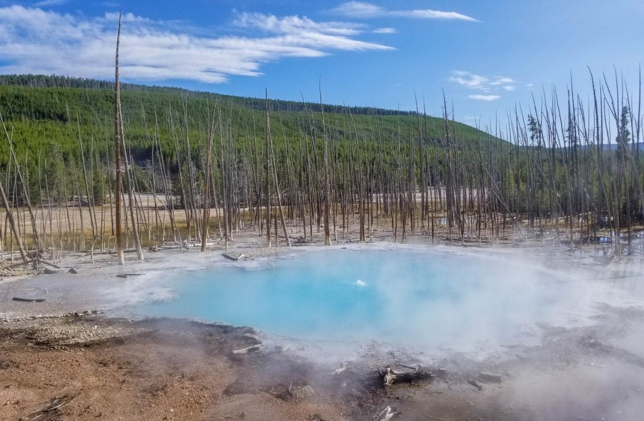 Emerald Spring in Back Basin