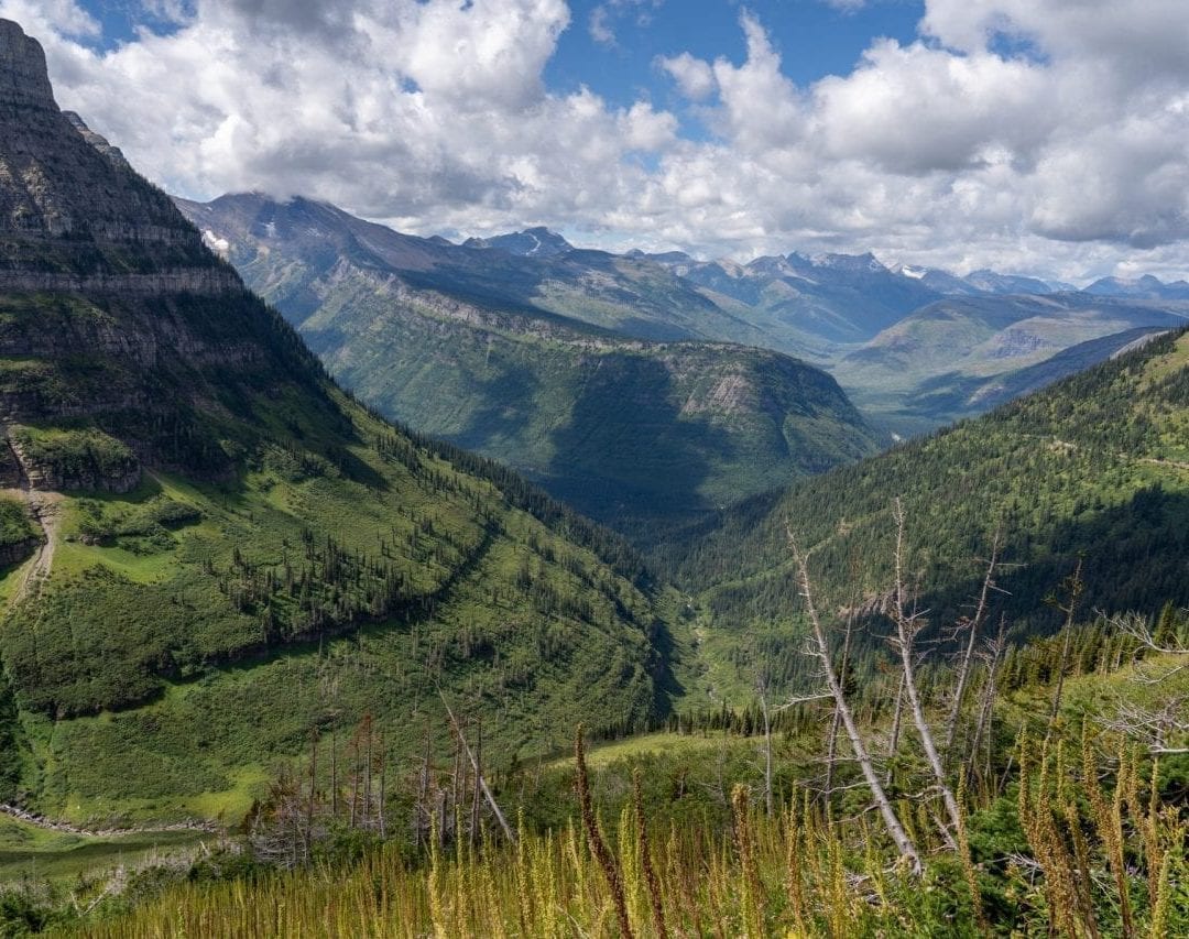 View of the mountains from Highline Trail in Glacier National Park