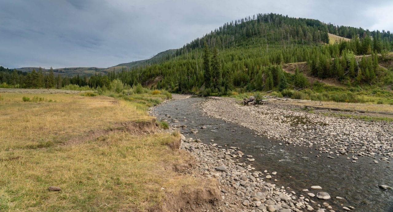 Lamar Valley Trail