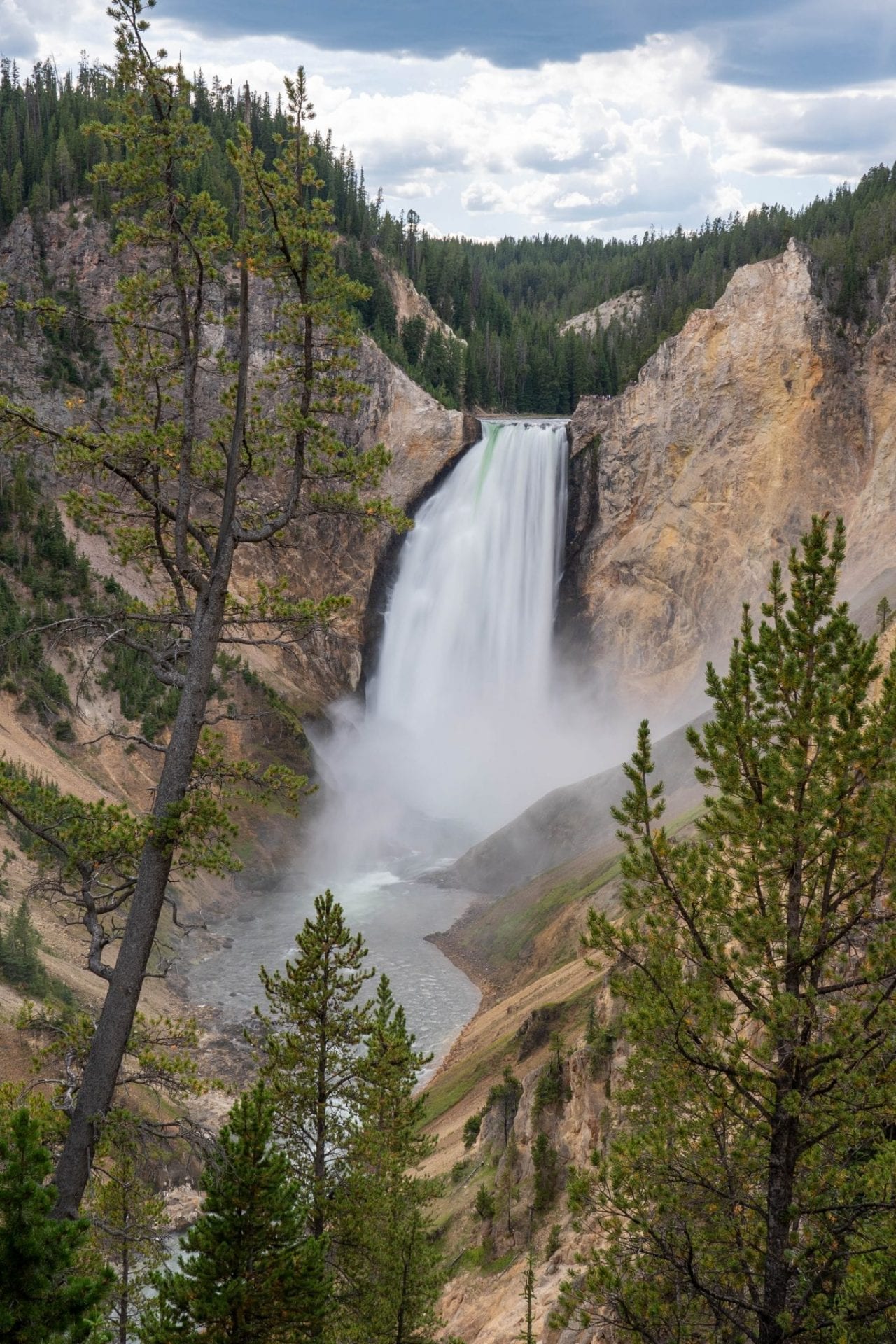 Lower Yellowstone Falls