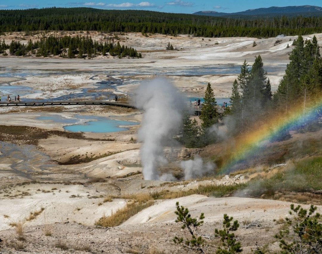View of Norris Basin from the trailhead with a rainbow formed due to the mist formed by the geyser eruption (Pin #6 in Yellowstone National Park Map above)