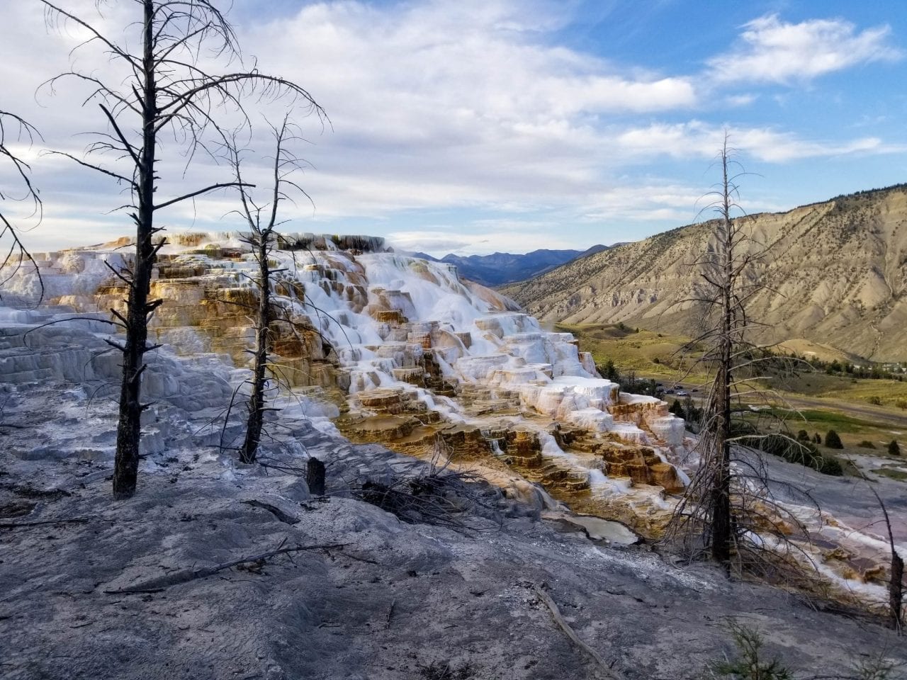 Picturesque Mammoth Hot Springs Yellowstone