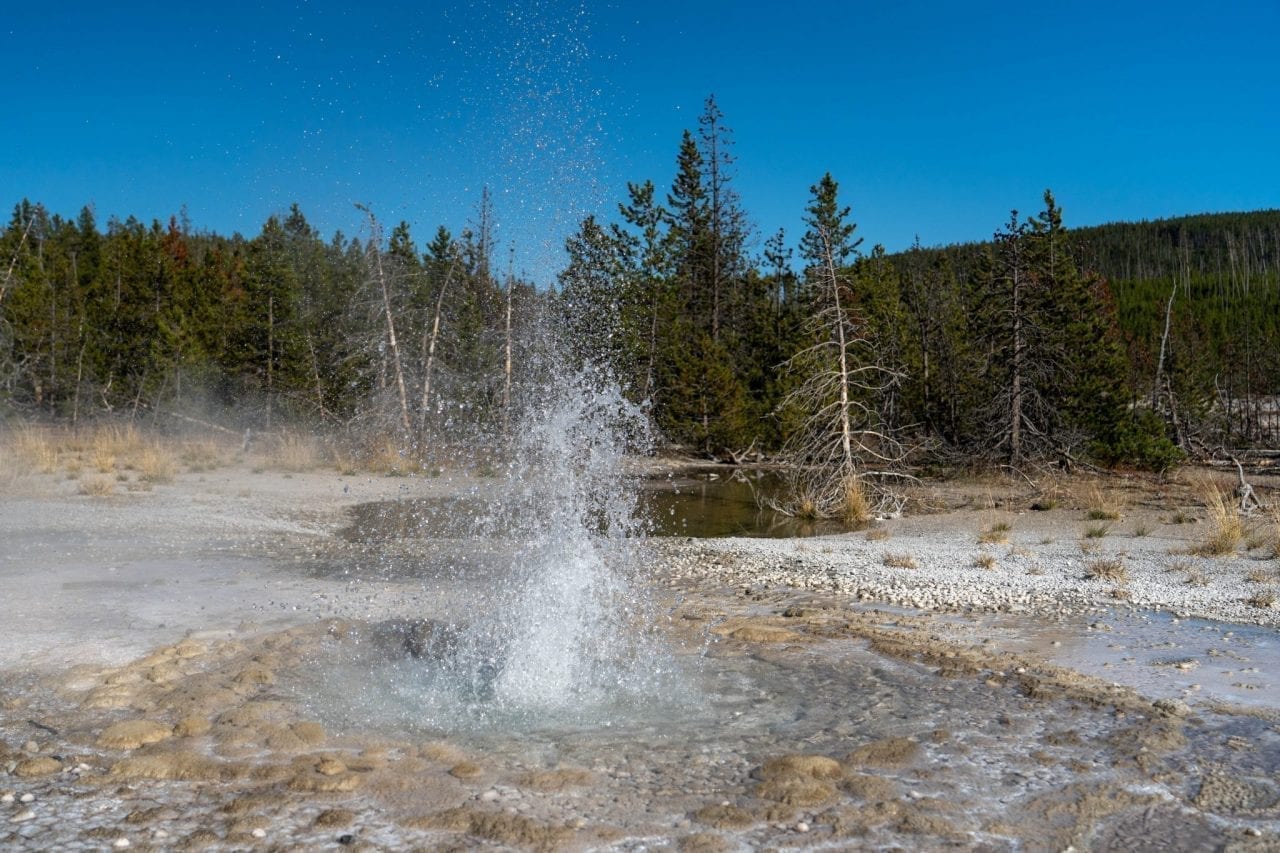 Small geyser erupting in Norris Basin