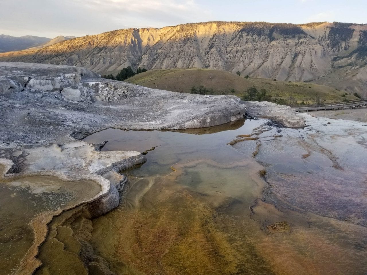 Still hot spring water along the Mammoth Hot Springs boardwalk