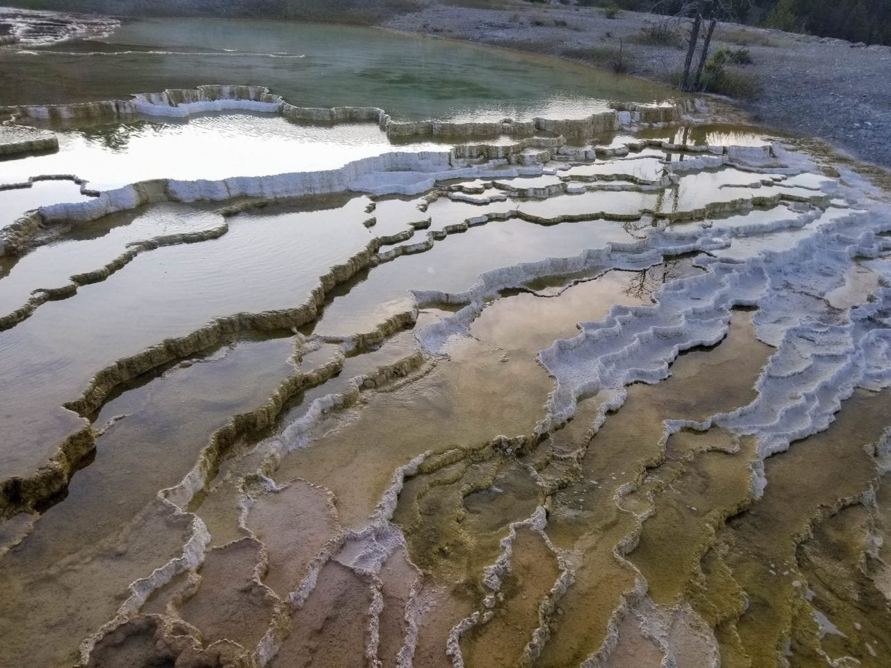 Vibrant colors of the springs in Mammoth Hot Springs Yellowstone