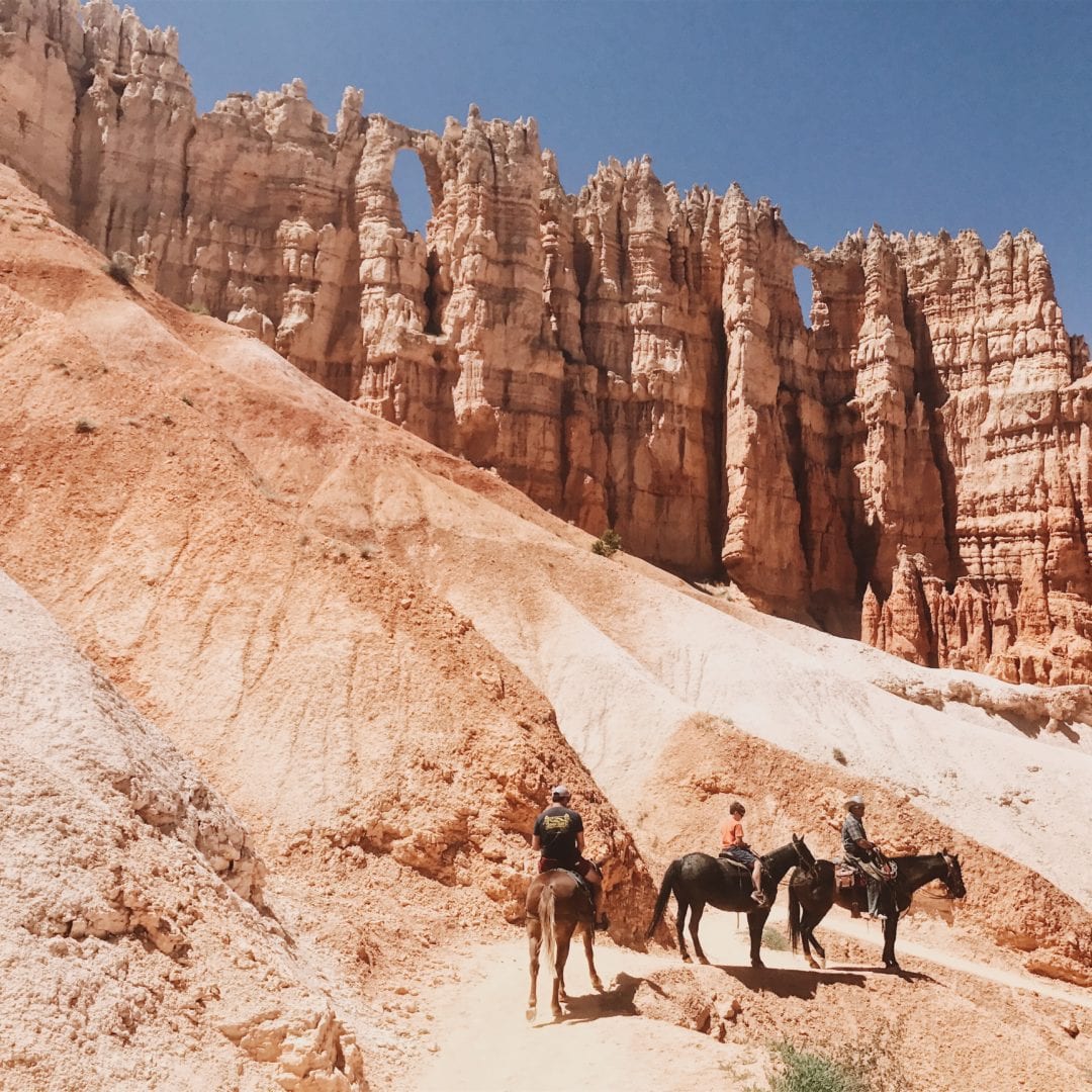 Trail Rides in Bryce Canyon