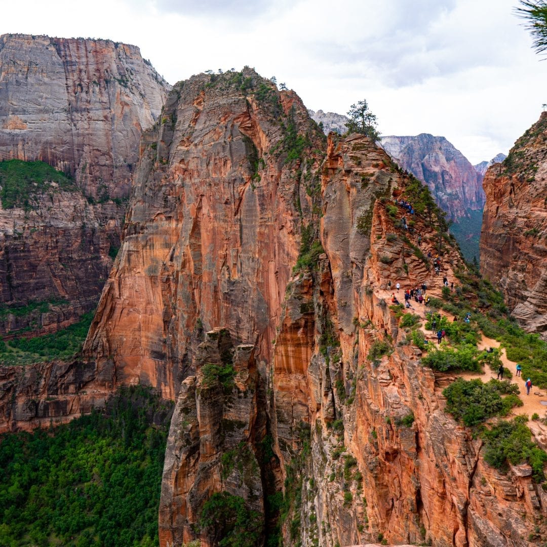 Angels Landing cover