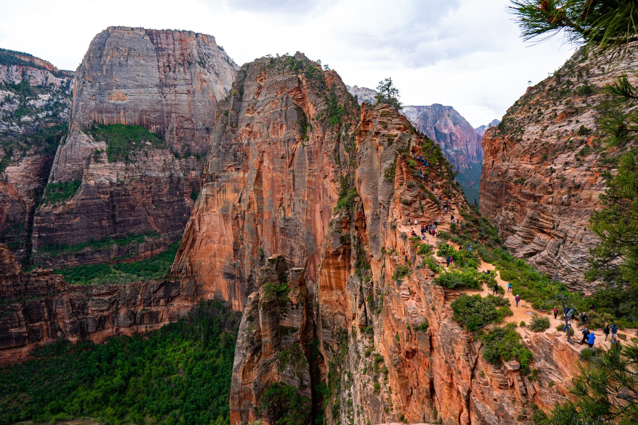 Angels Landing Zion National Park - All You Need To Know | Outdoorsome