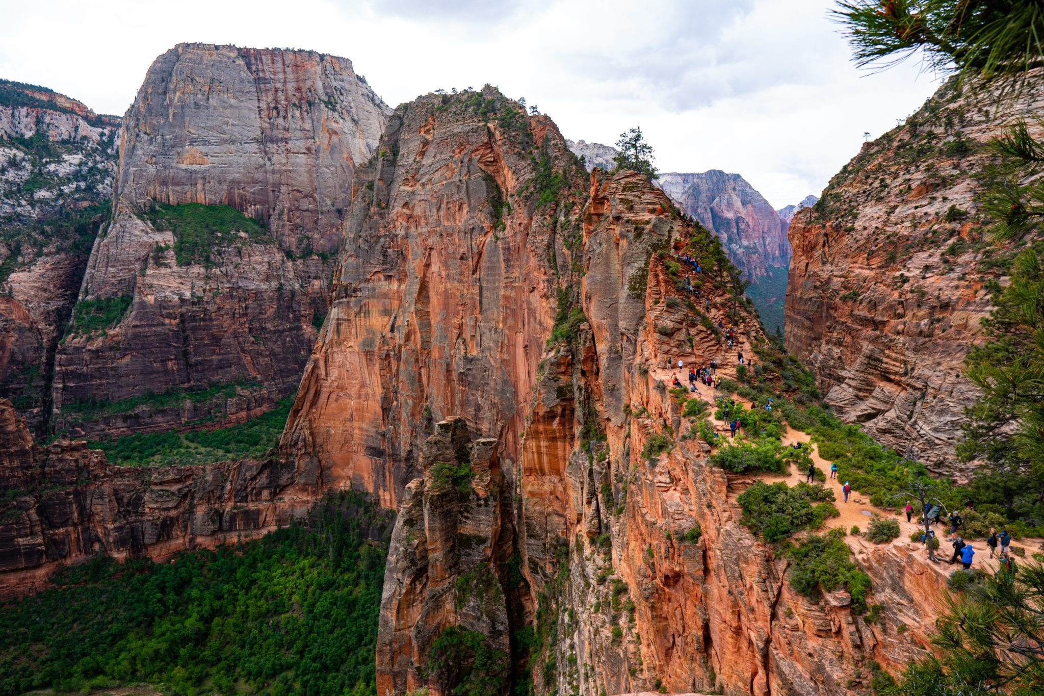 Angels Landing Cover